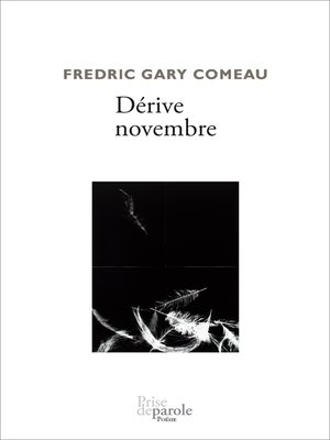 cover image of Dérive novembre